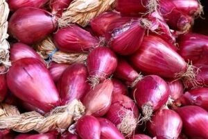 Zwiebeln
