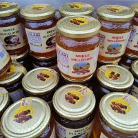 WhatsApp Image 2025-10-17 at 20.39.32_ab1576cc