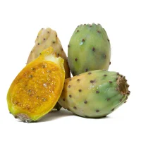 cactus fig